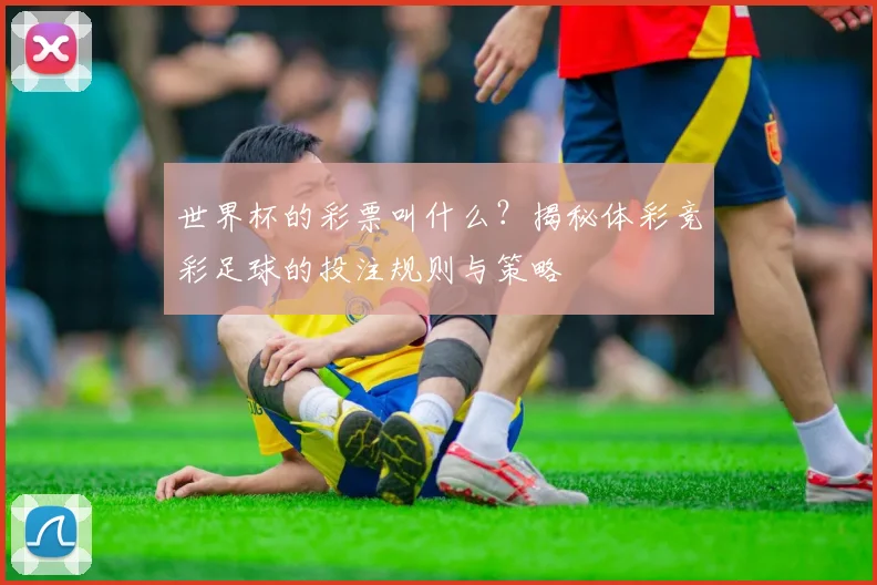 世界杯的彩票叫什么？揭秘体彩竞彩足球的投注规则与策略