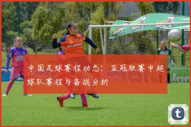 中国足球赛程动态：亚冠联赛中超球队赛程与备战分析