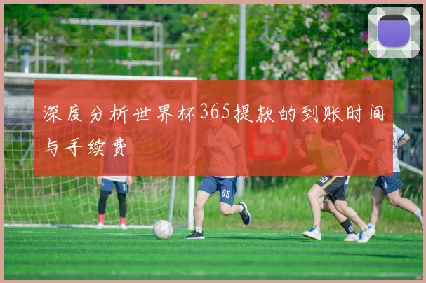 深度分析世界杯365提款的到账时间与手续费