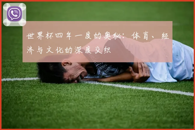 世界杯四年一度的奥秘:体育、经济与文化的深度交织