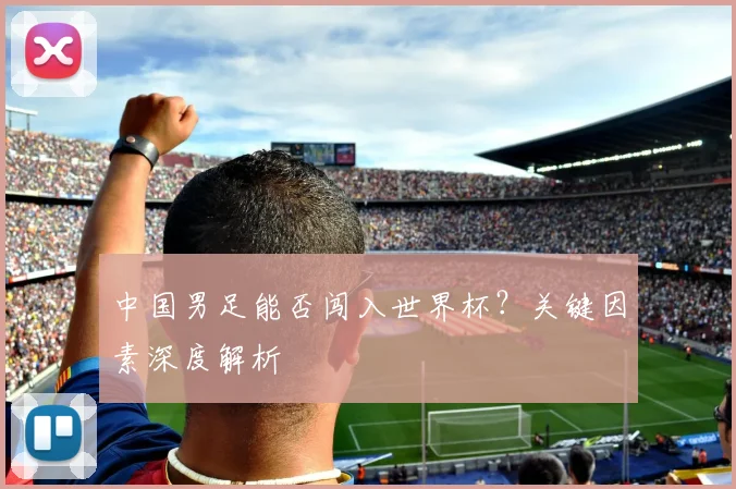 中国男足能否闯入世界杯？关键因素深度解析